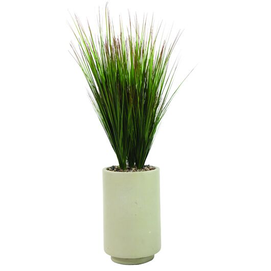 Vidalia Grass 56" Vidalia Grass 56"