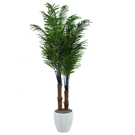 Casablanca Palm Tree 8'