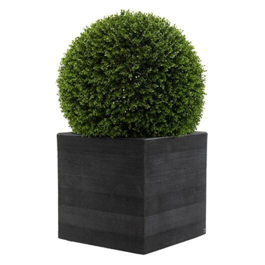 Cube Planter 21" with 28" Topiary Ball - Black Cube Planter 21" with 28" Topiary Ball - Black