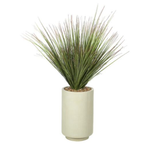 Vidalia Grass 56" Vidalia Grass 56"