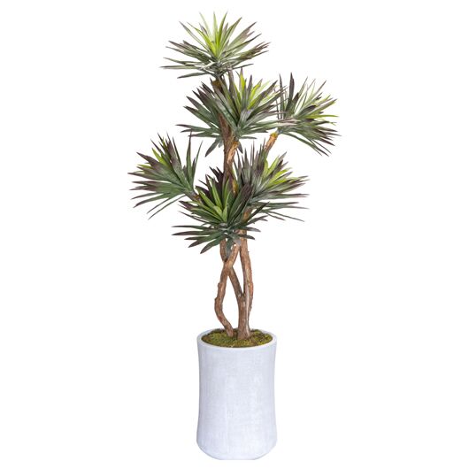 Mediterranean Agave Tree 8'