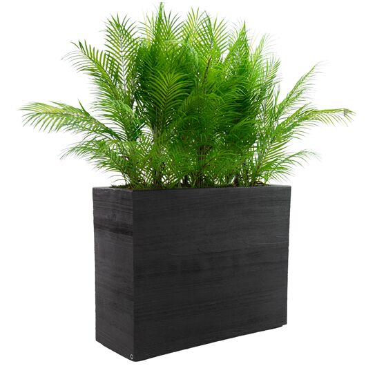 Palm Room Divider - Black Planter Palm Room Divider - Black Planter