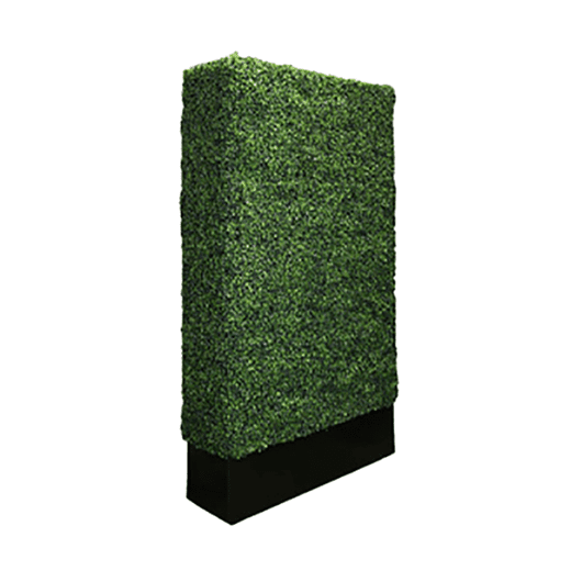 Tall Boxwood Wall Tall Boxwood Wall