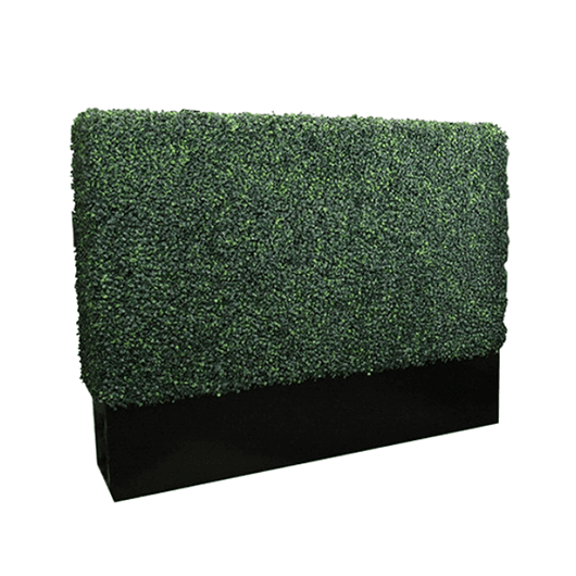 Short Boxwood Wall